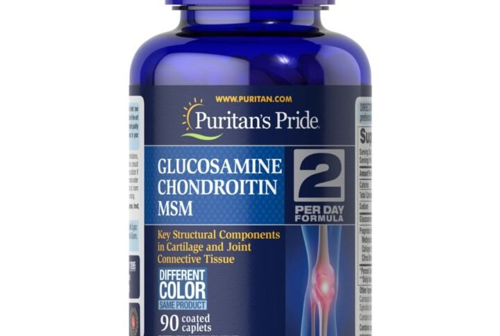 Glucosamine Chondroitin MSM