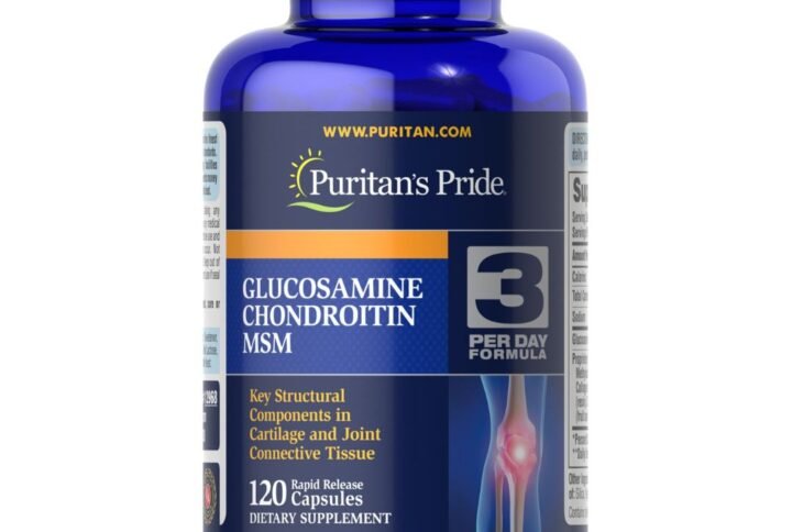 Glucosamine Chondroitin MSM - 120 Capsules