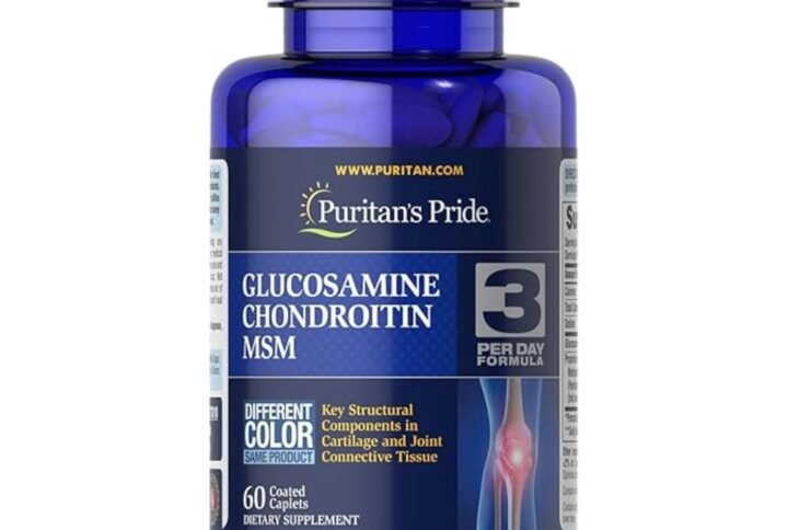 Glucosamine Chondroitin MSM
