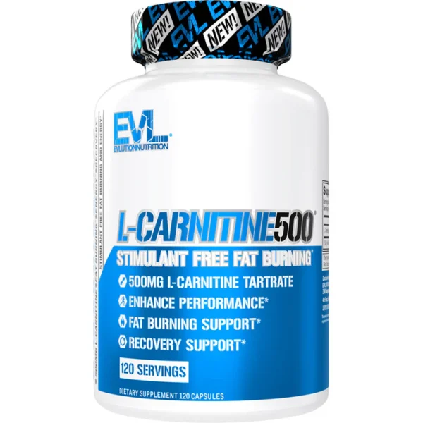 L-CARNINITINE500